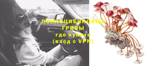 дмт Покачи