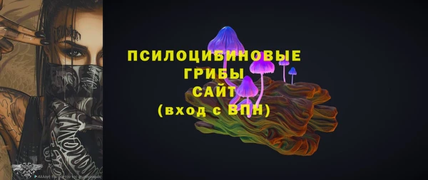 стафф Пересвет