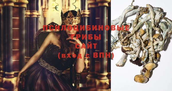 дмт Покачи