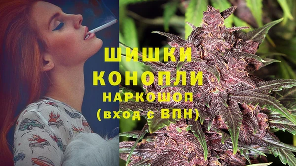 спайс Дегтярск