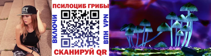 shop состав  blacksprut рабочий сайт  Солигалич  Галлюциногенные грибы мицелий 